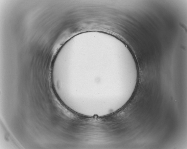 X0000103931525200810031247