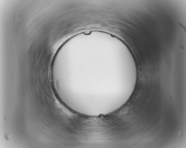 X0000103931527200810031247