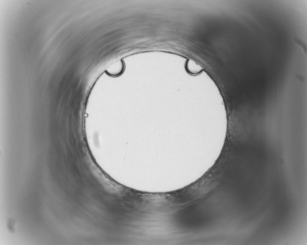 X0000103931528200810031247