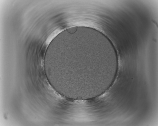 X0000103931529200810031247