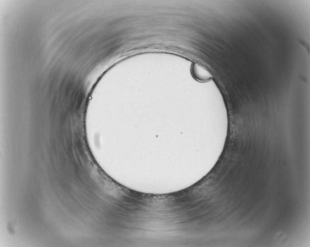 X0000103931530200810031247