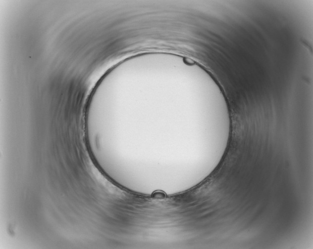 X0000103931531200810031247