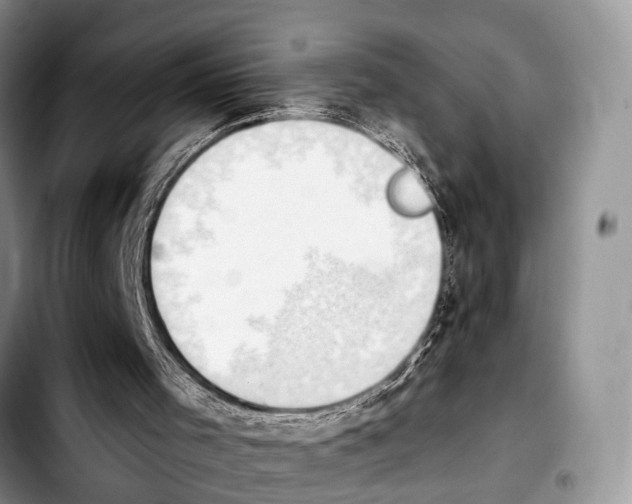 X0000103930001200810101404