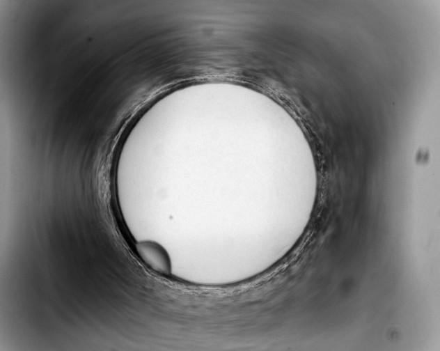 X0000103930002200810101404