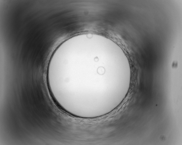 X0000103930003200810101404