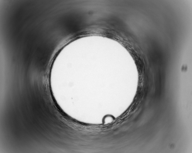 X0000103930004200810101404