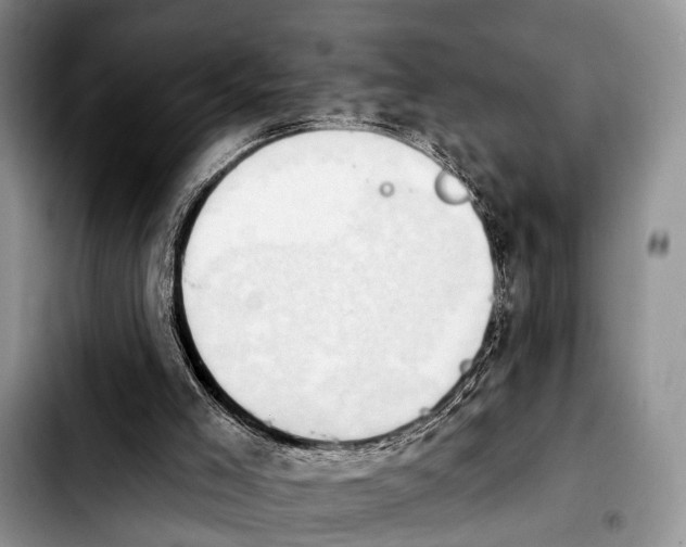 X0000103930005200810101404