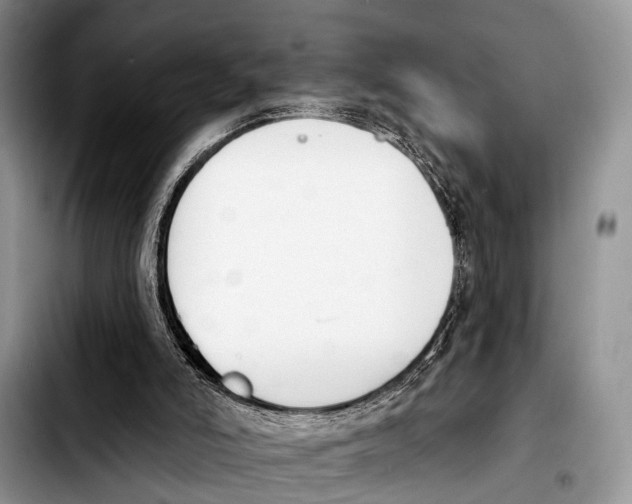 X0000103930006200810101404