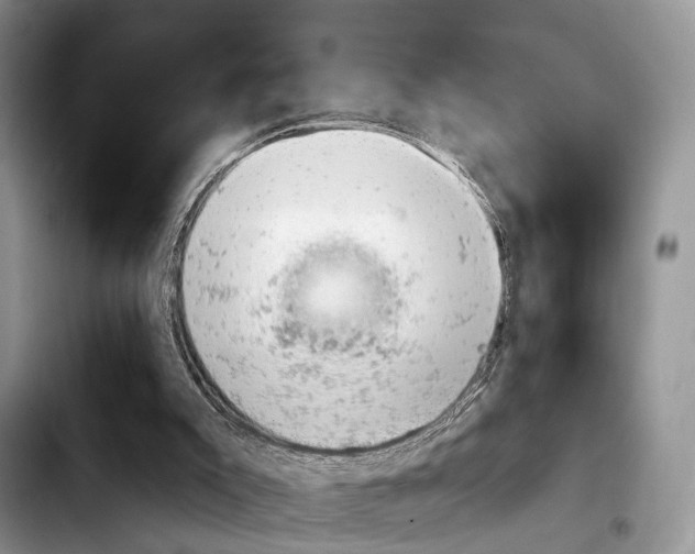 X0000103930007200810101404