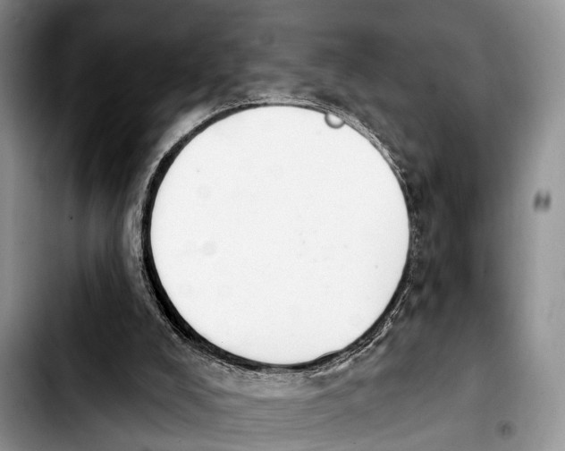 X0000103930008200810101404