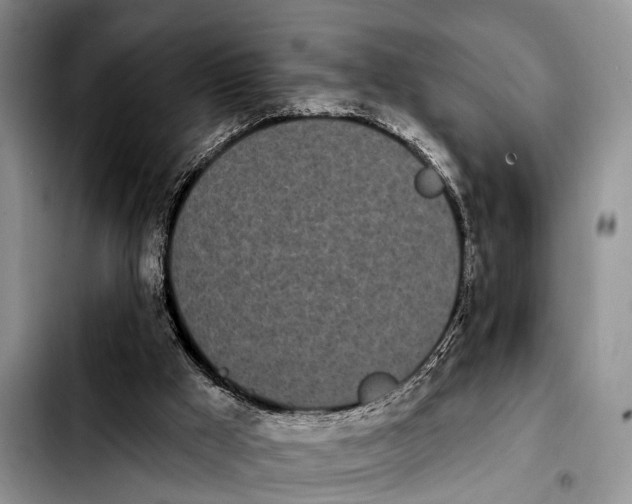 X0000103930009200810101404