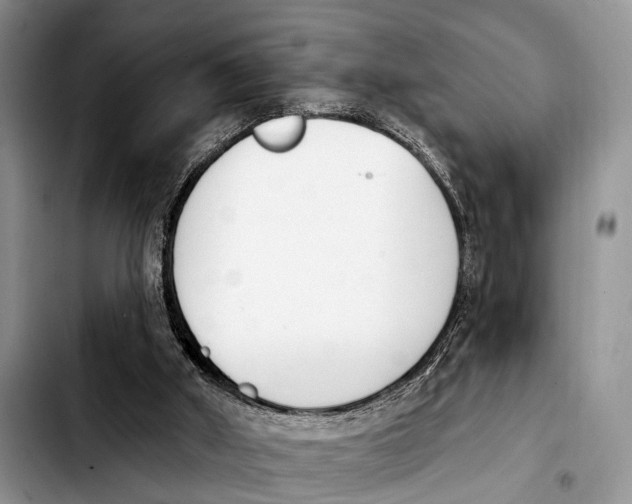 X0000103930010200810101404