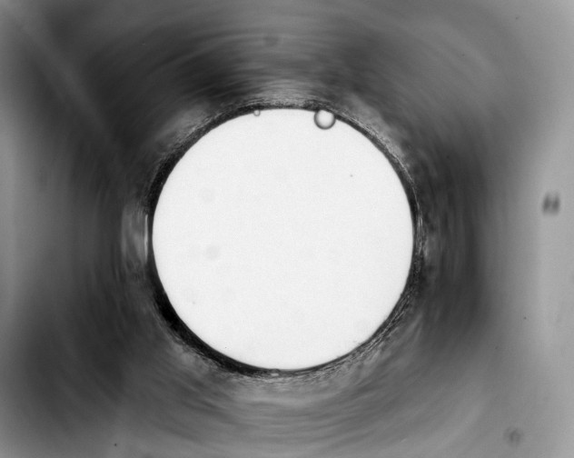 X0000103930013200810101404