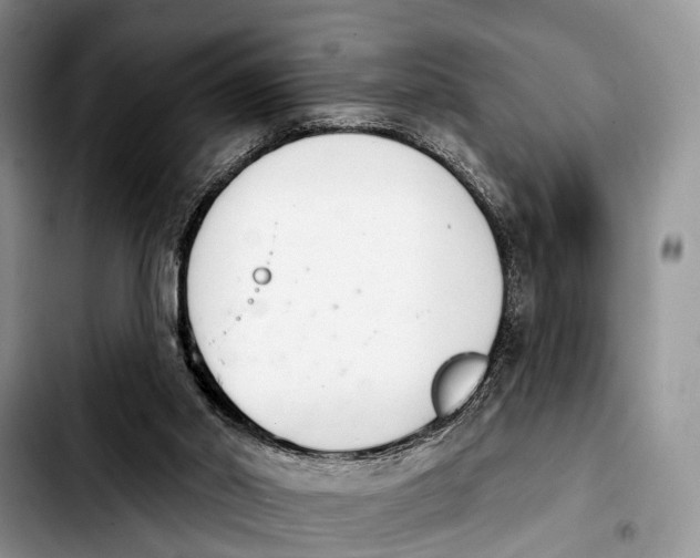 X0000103930014200810101404