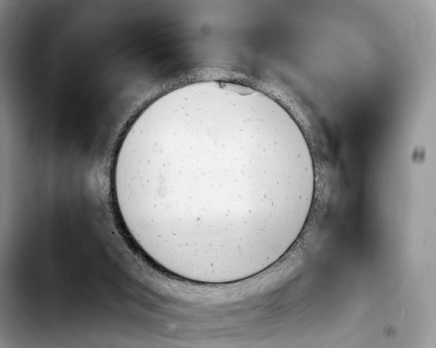 X0000103930015200810101404