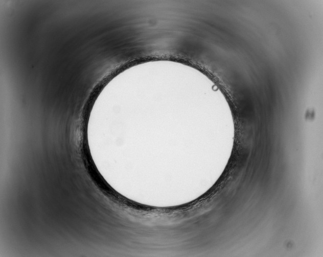 X0000103930016200810101404