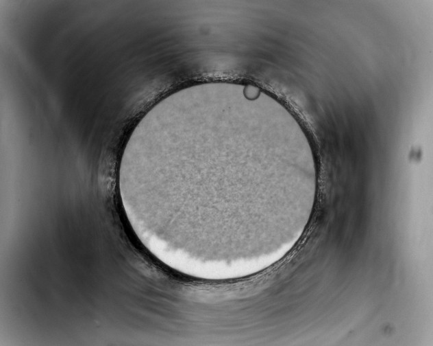 X0000103930017200810101404