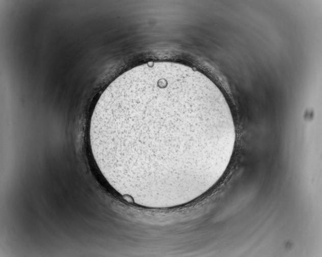 X0000103930018200810101404