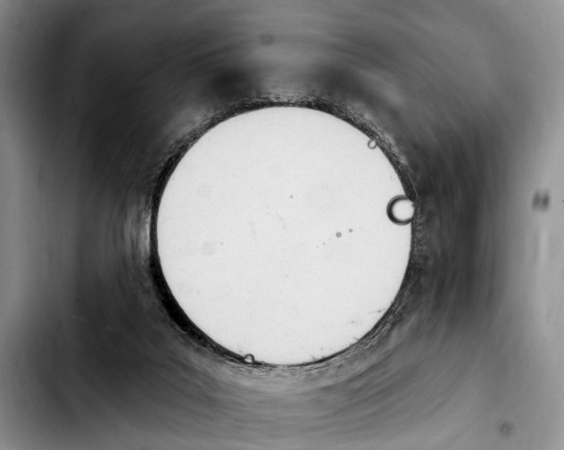 X0000103930019200810101404