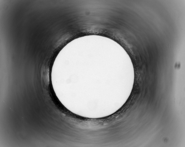 X0000103930020200810101404