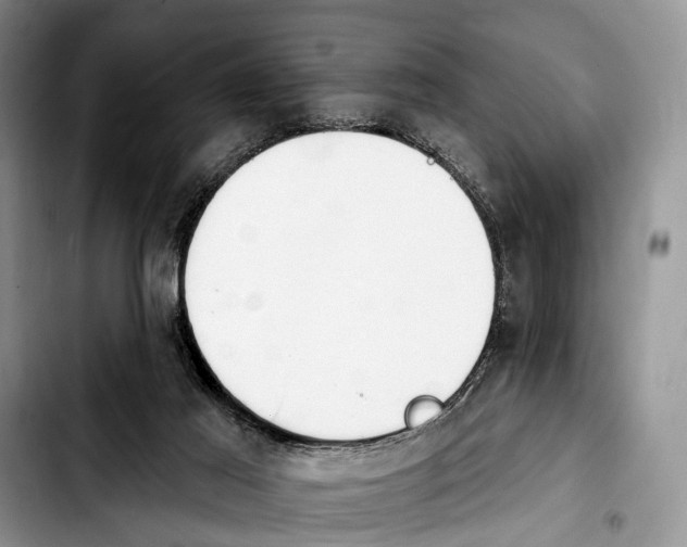 X0000103930021200810101404