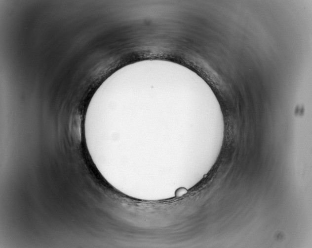 X0000103930022200810101404