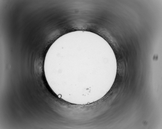 X0000103930023200810101404