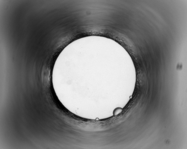 X0000103930024200810101404