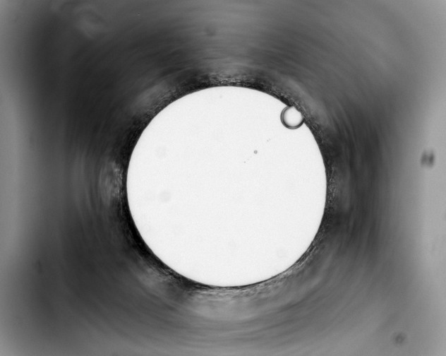 X0000103930025200810101404