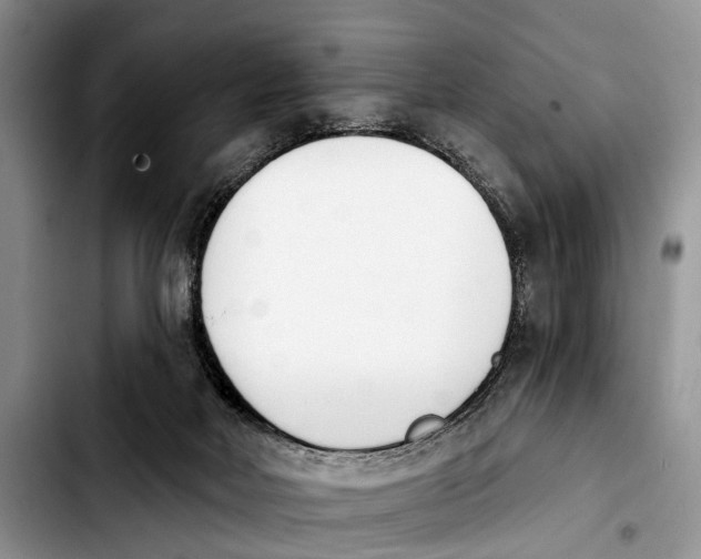 X0000103930026200810101404