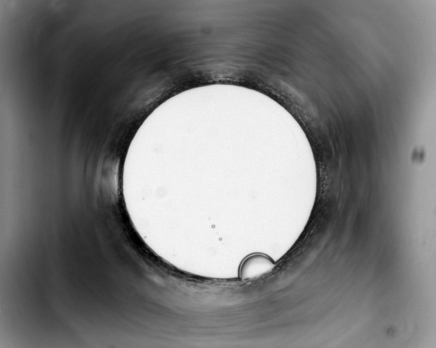 X0000103930028200810101403