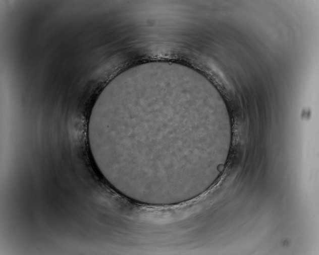 X0000103930029200810101403