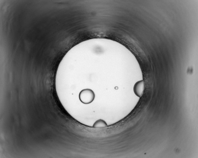 X0000103930030200810101403