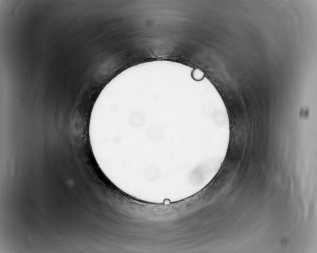 X0000103930031200810101403