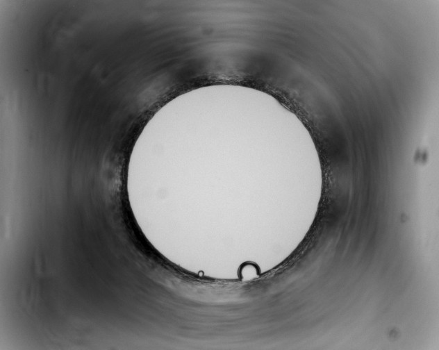 X0000103930032200810101403