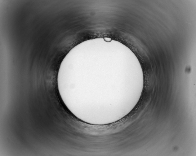 X0000103930034200810101403