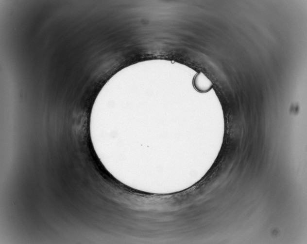 X0000103930036200810101403