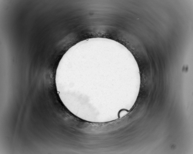 X0000103930037200810101403