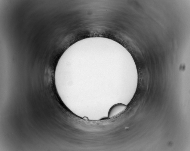 X0000103930038200810101403