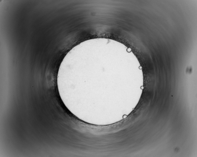 X0000103930039200810101403