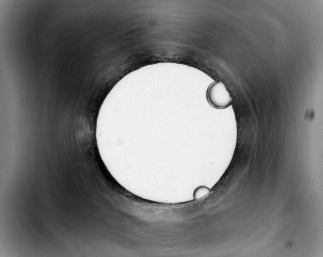 X0000103930040200810101403