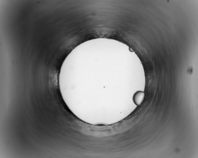 X0000103930042200810101403