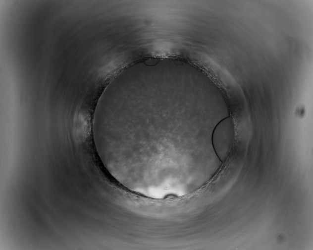 X0000103930043200810101403