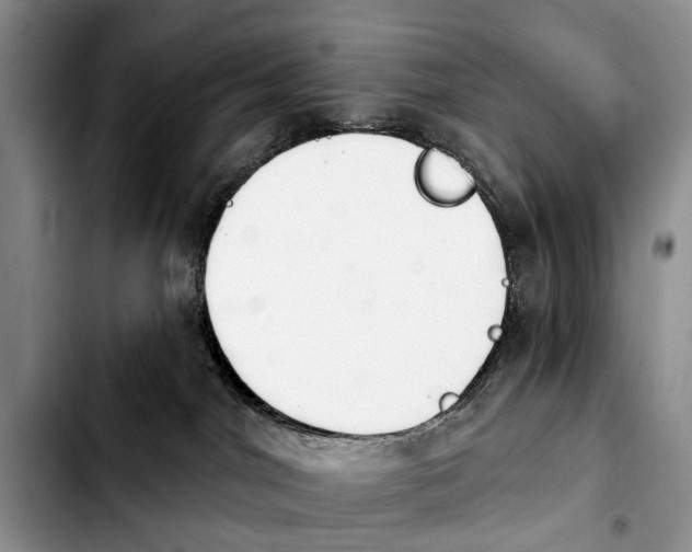 X0000103930044200810101403