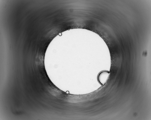 X0000103930045200810101403