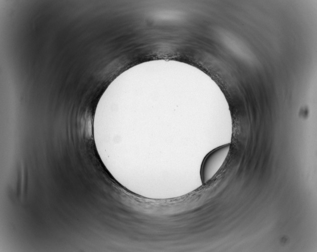 X0000103930046200810101403