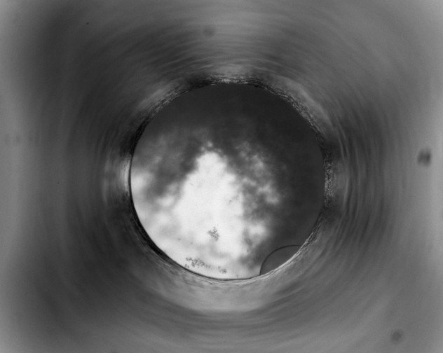 X0000103930047200810101403