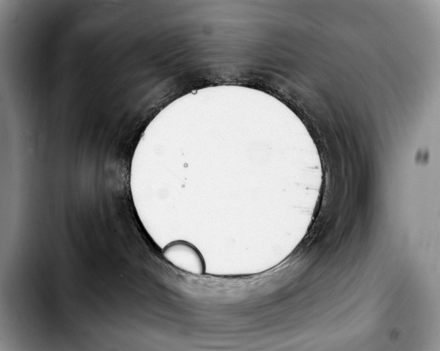 X0000103930048200810101403