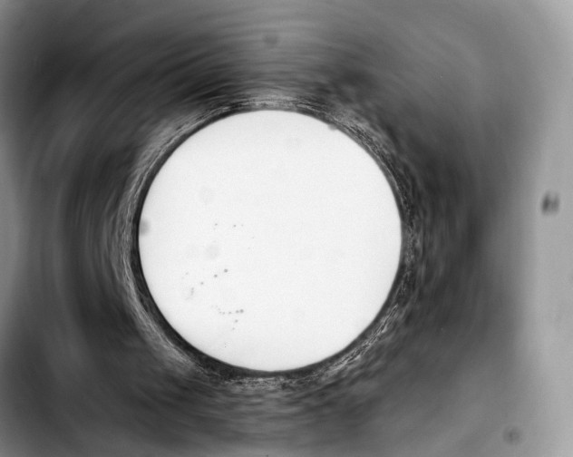 X0000103930049200810101402