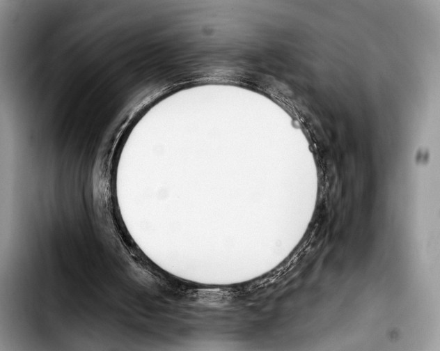 X0000103930050200810101402